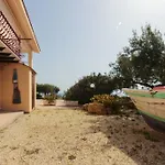 Bongiovi *